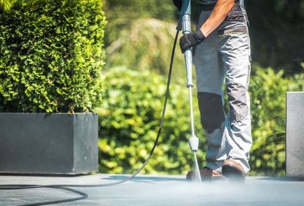 Best Pool Deck Cleaning  in White Horse, NJ