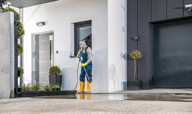 Best Solar Panel Cleaning  in White Horse, NJ
